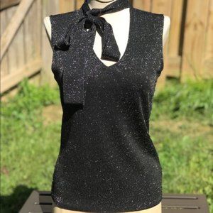 NWOT Express shimmery sheer sleeveless top